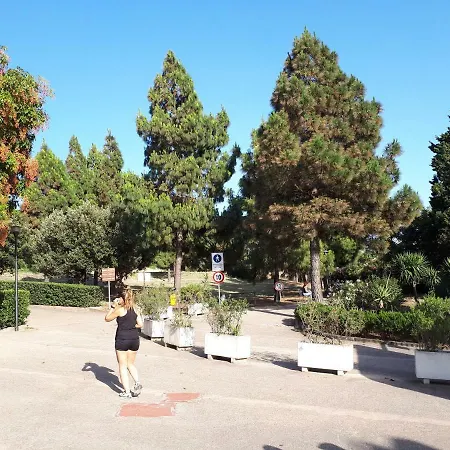 Mari Pintau 招待所 *